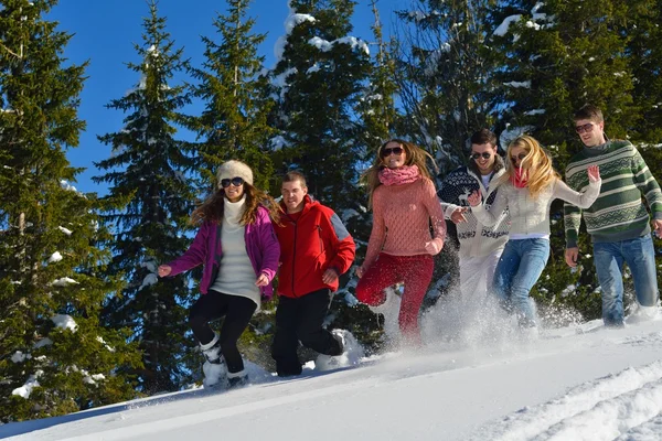 Vrienden hebben plezier in de winter op verse sneeuw — Stockfoto