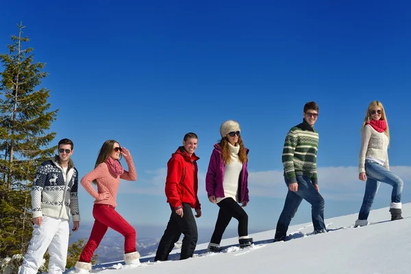 Amigos en invierno — Foto de Stock