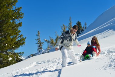 kızak üzerinde sürme aile