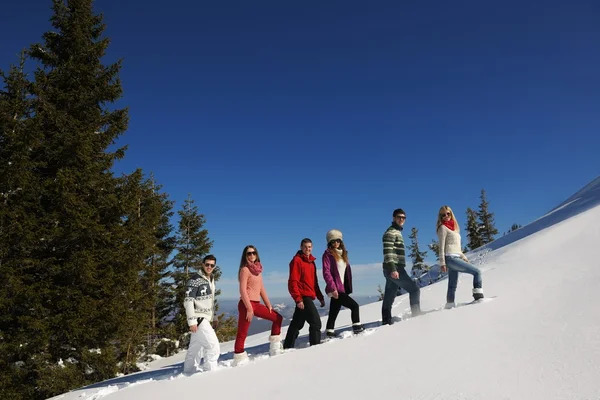 Amigos no inverno — Fotografia de Stock