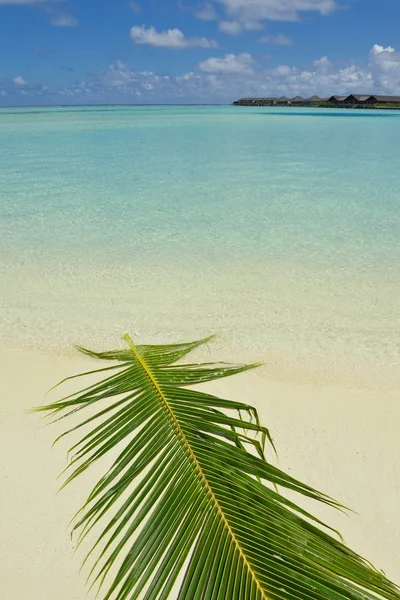 Tropikalna plaża — Zdjęcie stockowe