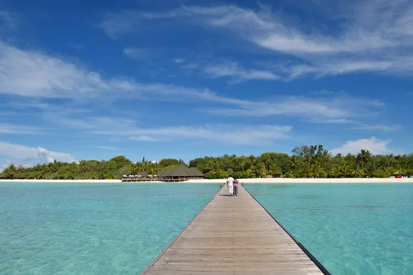 Tropisch strand — Stockfoto