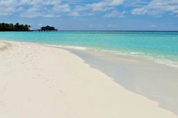 Tropical beach — Stock Photo, Image