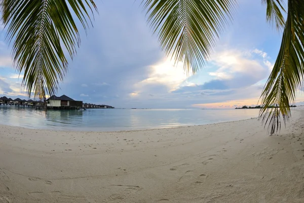 Playa tropical — Foto de Stock