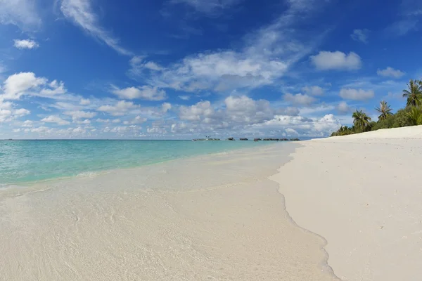 Tropical beach — Stock Photo, Image