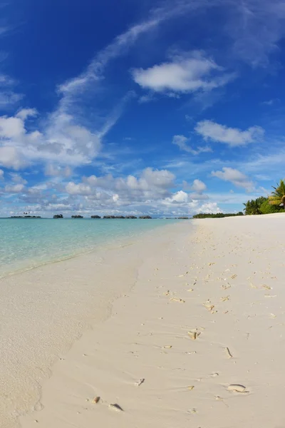 Tropical beach — Stock Photo, Image