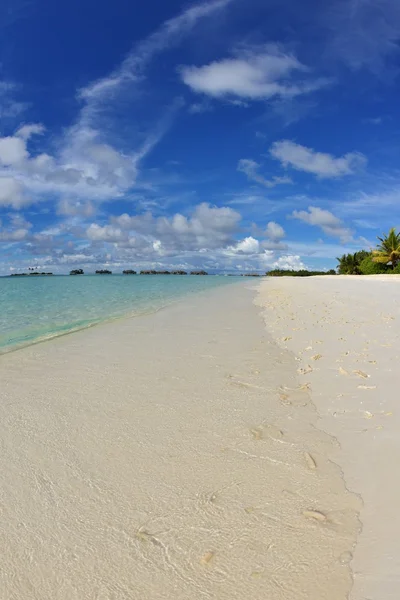 Tropical beach — Stock Photo, Image