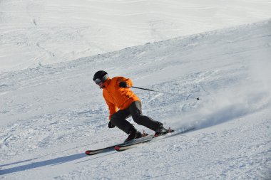 Kayakçı