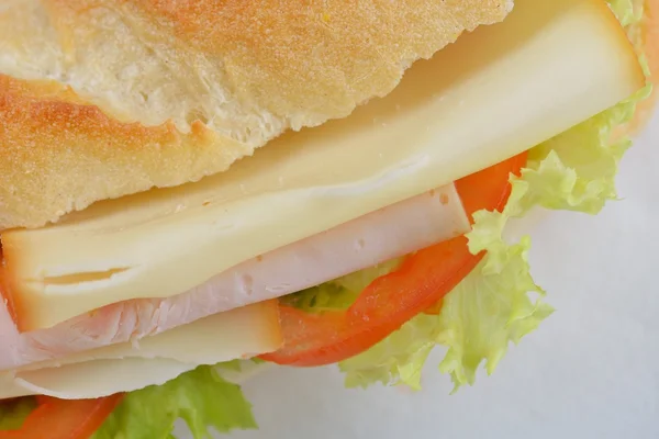 Panino — Foto Stock