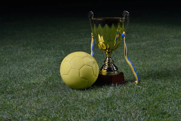 Taça de futebol — Fotografia de Stock