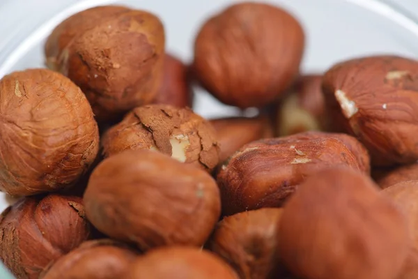 Hazelnuts — Stock Photo, Image