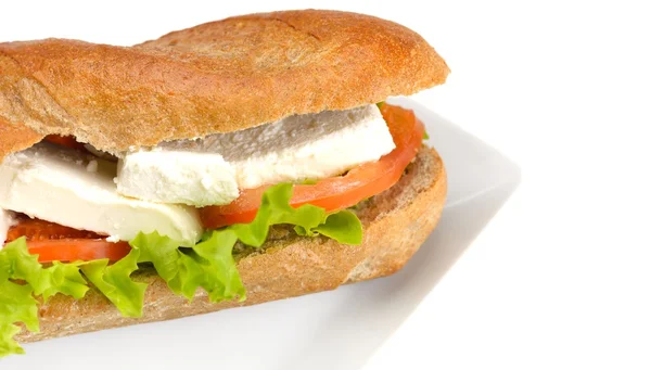 Свежий сэндвич с овощами и мясом — стоковое фото