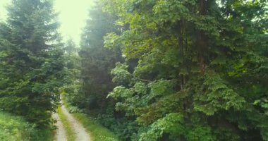 Atletizm bulutları ve kıvrımlı kır yolu ile yağmur üstüne hava ormanı