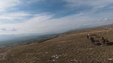 FPV İHA 'sı bozkırda dört nala koşan büyük bir vahşi at sürüsüyle uçuyor.