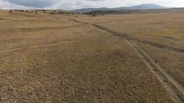 FPV İHA 'sı bozkırda dört nala koşan büyük bir vahşi at sürüsüyle uçuyor.