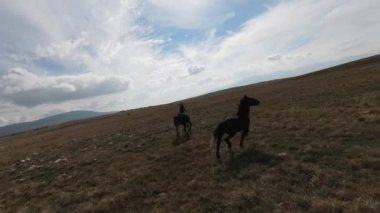 FPV İHA 'sı bozkırda dört nala koşan büyük bir vahşi at sürüsüyle uçuyor.