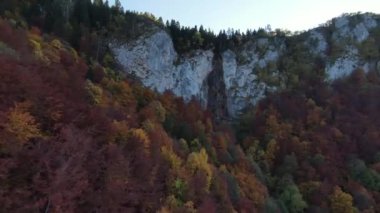 4 k hava manzara orman üzerinde sonbaharda büyük taşlar nehirde, şelale büyük taşlar, mavi gökyüzü uçan sonbaharın, şelale,
