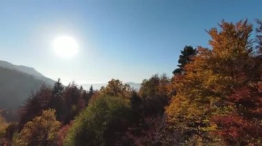 Sinema için ilham verici FPV manzaralı sakin dağ manzaralı orman ve kırsal alan. Yolculuk. Özgürlük uçuşu.