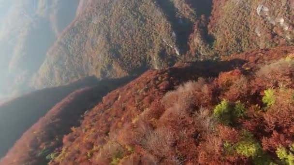 Ispirante aerea vista FPV di cinematica tranquilla natura montana foresta panoramica e la campagna. Viaggio. Libertà di volo. — Video Stock