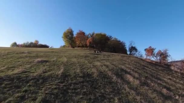 Vistas aéreas inspiradoras do FPV da natureza montanhosa tranquila cinematográfica, floresta cênica e campo. Viagem. Voo livre. — Vídeo de Stock