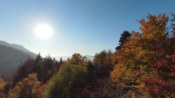 Inspirerande antenn FPV utsikt över filmiska lugna berg natur natursköna skog och landsbygd. Resan. Frihetsflygning. — Stockvideo