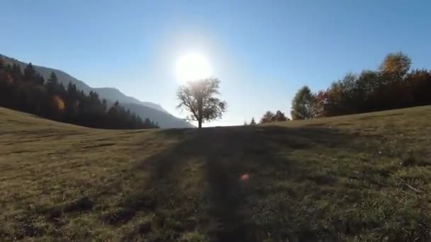 Vistas aéreas inspiradoras do FPV da natureza montanhosa tranquila cinematográfica, floresta cênica e campo. Viagem. Voo livre. — Vídeo de Stock