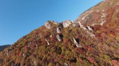 Sinema için ilham verici FPV manzaralı sakin dağ manzaralı orman ve kırsal alan. Yolculuk. Özgürlük uçuşu.