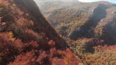 Sinema için ilham verici FPV manzaralı sakin dağ manzaralı orman ve kırsal alan. Yolculuk. Özgürlük uçuşu.