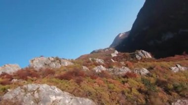Sinema için ilham verici FPV manzaralı sakin dağ manzaralı orman ve kırsal alan. Yolculuk. Özgürlük uçuşu.