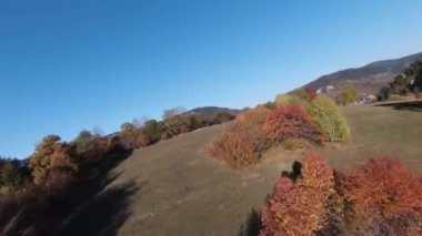 Sinema için ilham verici FPV manzaralı sakin dağ manzaralı orman ve kırsal alan. Yolculuk. Özgürlük uçuşu.