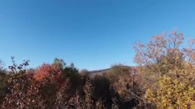 Sinema için ilham verici FPV manzaralı sakin dağ manzaralı orman ve kırsal alan. Yolculuk. Özgürlük uçuşu.