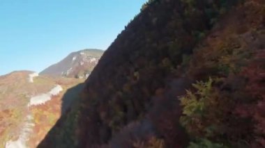 Sinema için ilham verici FPV manzaralı sakin dağ manzaralı orman ve kırsal alan. Yolculuk. Özgürlük uçuşu.