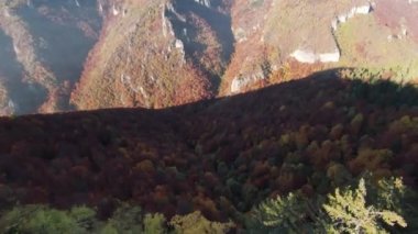 Sinema için ilham verici FPV manzaralı sakin dağ manzaralı orman ve kırsal alan. Yolculuk. Özgürlük uçuşu.