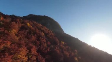 Sinema için ilham verici FPV manzaralı sakin dağ manzaralı orman ve kırsal alan. Yolculuk. Özgürlük uçuşu.