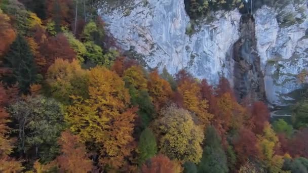 4K vista aerea dell'autunno, cascata, sorvolando la foresta in autunno, grandi pietre nel fiume, cascata con grandi pietre, cielo blu — Video Stock