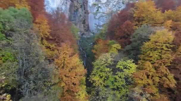 Inspirerande antenn FPV utsikt över filmiska lugna berg natur natursköna skog och landsbygd. Resan. Frihetsflygning. — Stockvideo