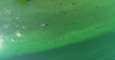 Birkaç maceraperest arkadaş, güzel doğayla çevrili vahşi bir nehirde kanoyla geziyorlar.