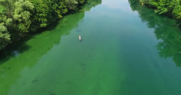 Аэросъемка пары плавающих на каяках в зеленой дикой реке в летний день. Нетронутая природа. — стоковое видео