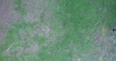 Ormanda tüfekten nişan alan askerler, arka planda duman, askeri ve ordu konsepti. Yüksek kalite 4k görüntü