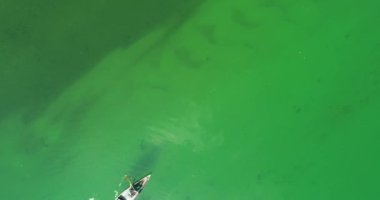 Birkaç maceraperest arkadaş, güzel doğayla çevrili vahşi bir nehirde kanoyla geziyorlar.