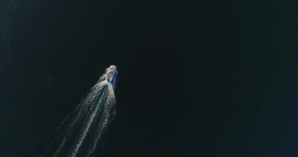 Снимок Счастливой Семьи Летнем Отдыхе Рулем Роскошной Лодки Открытом Море — стоковое видео