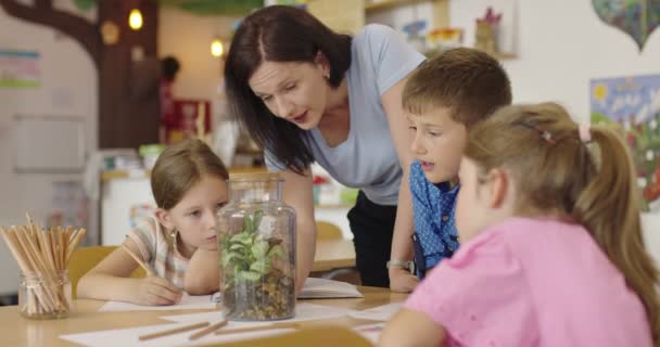 Lehrerin mit Kindern im Biologieunterricht an der Grundschule, die biologische oder botanisch-wissenschaftliche Experimente über nachhaltig wachsende Pflanzen durchführt. Pflanzen im Glas kennenlernen — Stockvideo