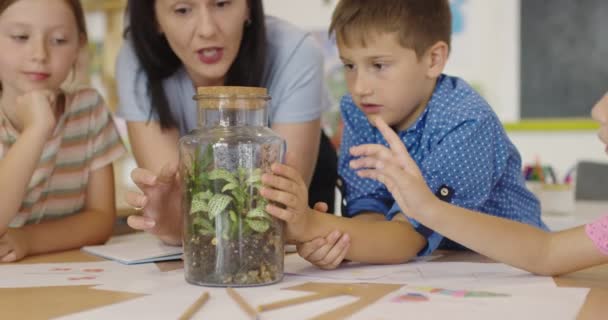 Жінка-вчителька з дітьми на уроці біології в початковій школі проводить біологічний або ботанічний науковий експеримент про стійкі рослини, що ростуть. Дізнатися про рослини в скляній тюрмі — стокове відео