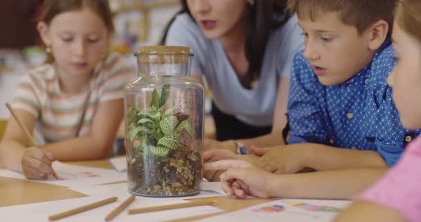 İlkokulda biyoloji sınıfında çocuklu bir bayan öğretmen biyoloji ya da sürdürülebilir bitkilerle ilgili botanik bilimsel deney yapıyor. Bitkileri bir bardakta öğrenmek. — Stok video