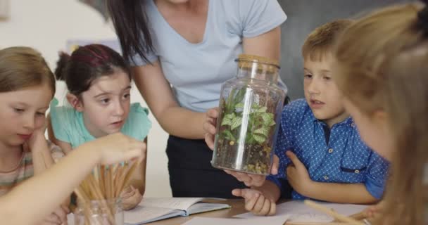 Professora com crianças em aula de biologia no ensino fundamental conduzindo experiências científicas de biologia ou botânica sobre plantas de cultivo sustentáveis. Aprender sobre plantas em um ja de vidro — Vídeo de Stock