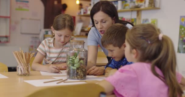 Lehrerin mit Kindern im Biologieunterricht an der Grundschule, die biologische oder botanisch-wissenschaftliche Experimente über nachhaltig wachsende Pflanzen durchführt. Pflanzen im Glas kennenlernen — Stockvideo