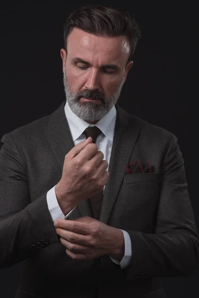 Porträt Eines Erfolgreichen Eleganten Geschäftsmannes Mit Grauem Bart Und Lässiger — Stockfoto