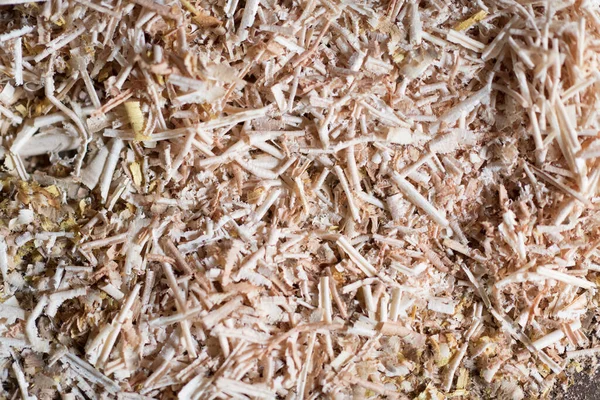 Sägemehl Vom Holzschneiden Durch Einen Tischler Hochwertiges Foto — Stockfoto