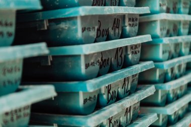 Altın madenciliği kaya çekirdeği örnekleri jeoloji sondaj endüstrisi. Modern endüstride büyük bir maden deposu var, cevherler kutulara istiflenmiş. Seçici odaklanma. Yüksek kaliteli fotoğraf.