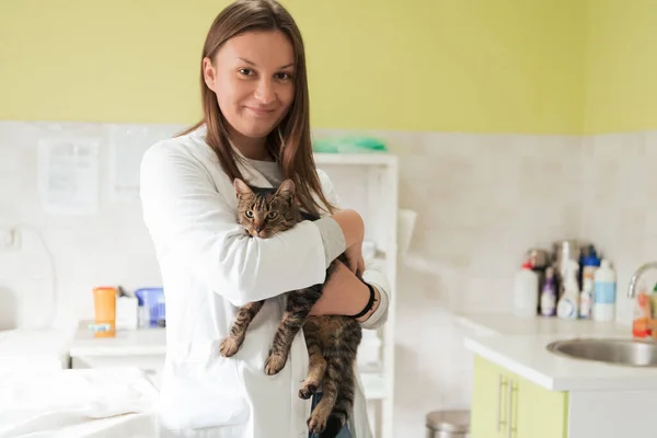 Clínica Veterinária Retrato Médico Feminino Hospital Animal Segurando Gato Doente — Fotografia de Stock